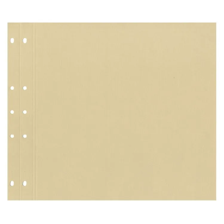 Pages tendance 30x30 'Avoine' (20p) (Non-embossé)