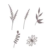 Matrices de découpe 'Au grand air'