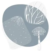 Cadres transparents 'forêt enchantée' (3pcs)