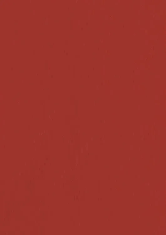 Papier uni A4 236gr. - 10 fl. - Cherry