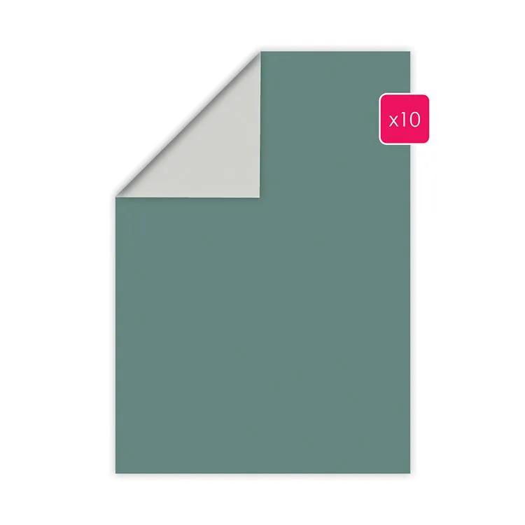 Papier A4 duo 10p 'Epicea-Gris perle'    