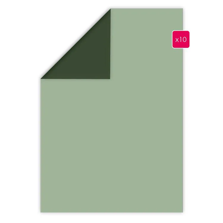 Papiers A4 duo 10p 'Vert de gris-Sapin'