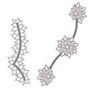 Matrices de découpe XL 'Symboles artistiques'