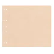 Pages tendance 30x30 'Muscade' (20p)